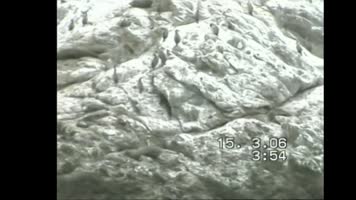 Albums/20060200-New Zealand 2006/20060318-Kaikiura/48